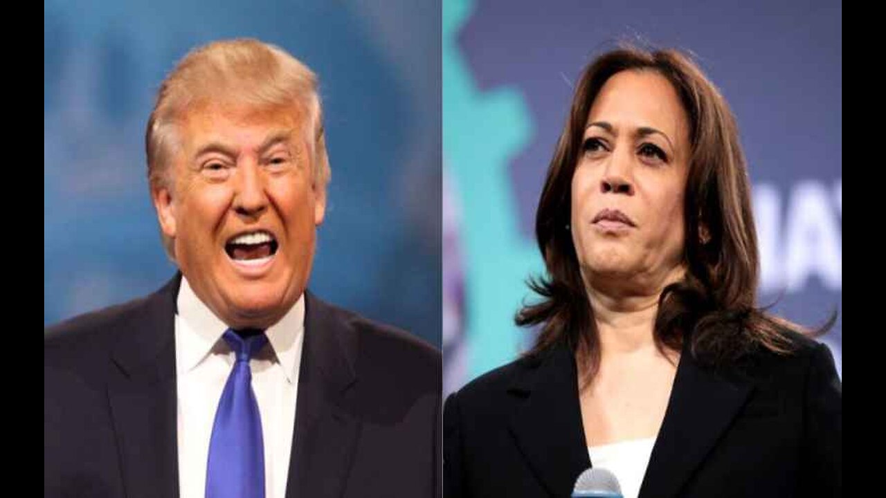 Trump Losing to Harris in Key Swing States, New Polls Show