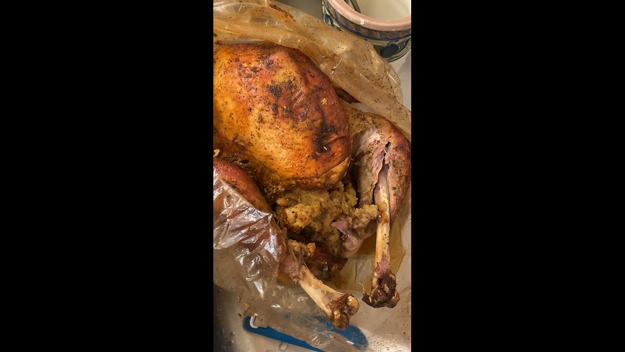 Turkey PERFECTION - 27sec - Thanksgiving 2024