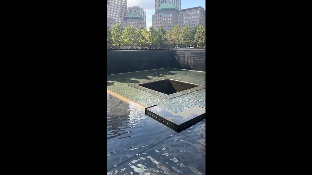 Man Jumps 45 Feet Into 9/11 Memorial Reflecting Pool 🤯