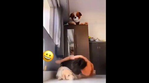 My Love ❤️🐕 My pet DoG #shorts #shorts