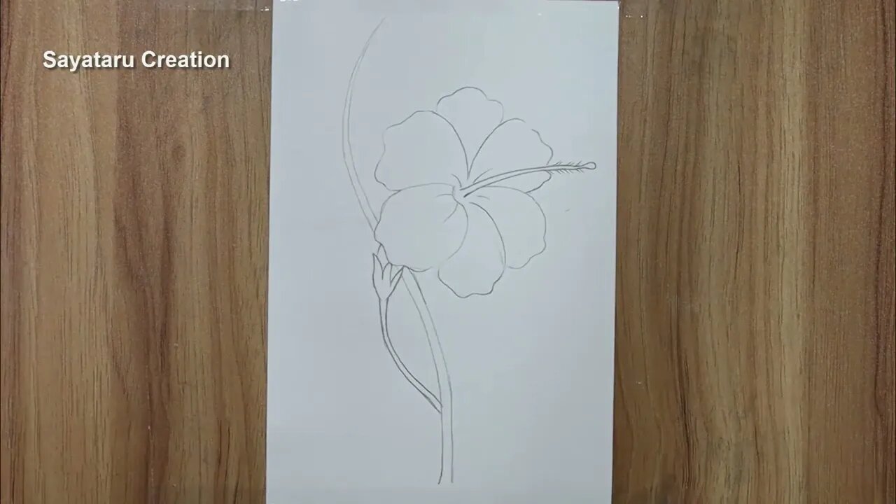 How to draw a hibiscus flower step by step pencil sketch