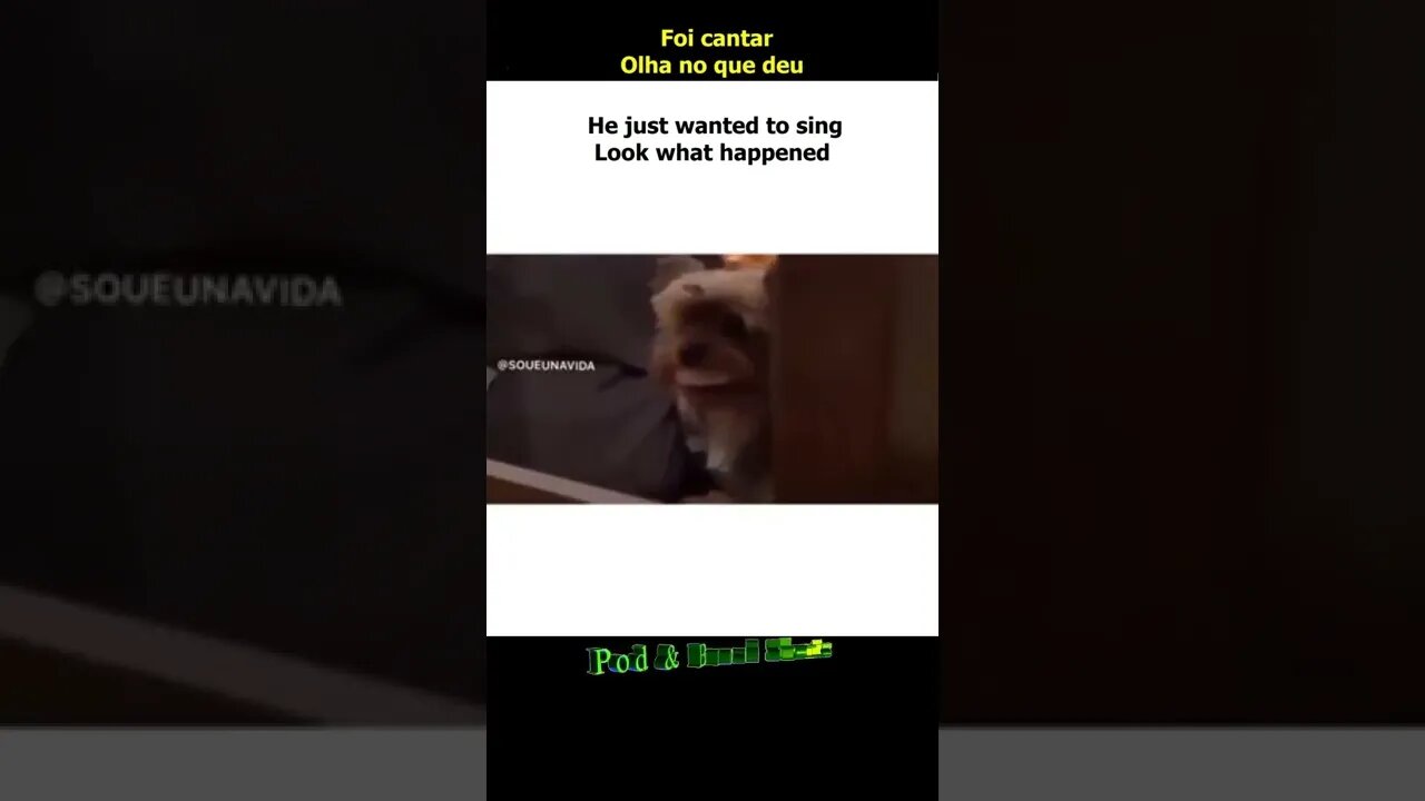 Foi cantar, olha no que deu