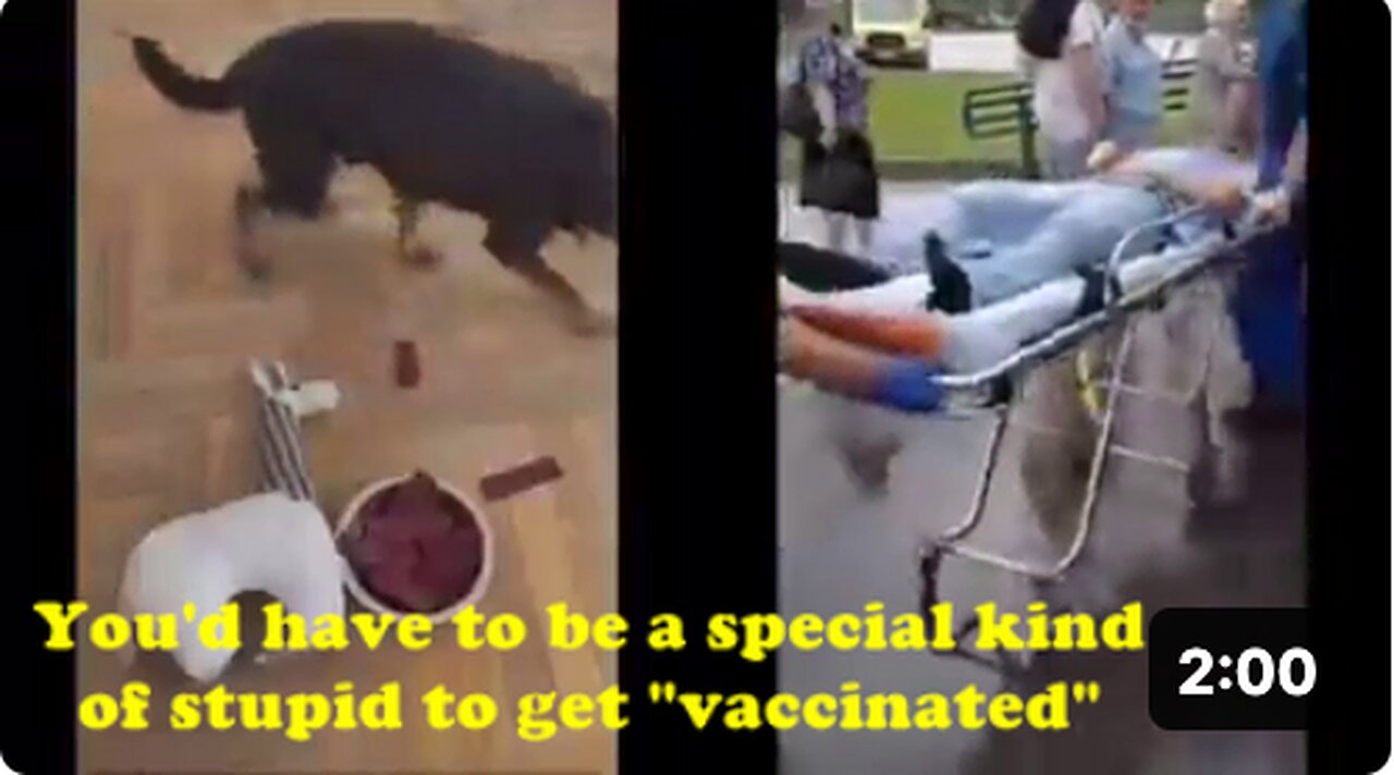 You'd have to be a special kind of stupid to get "vaccinated"