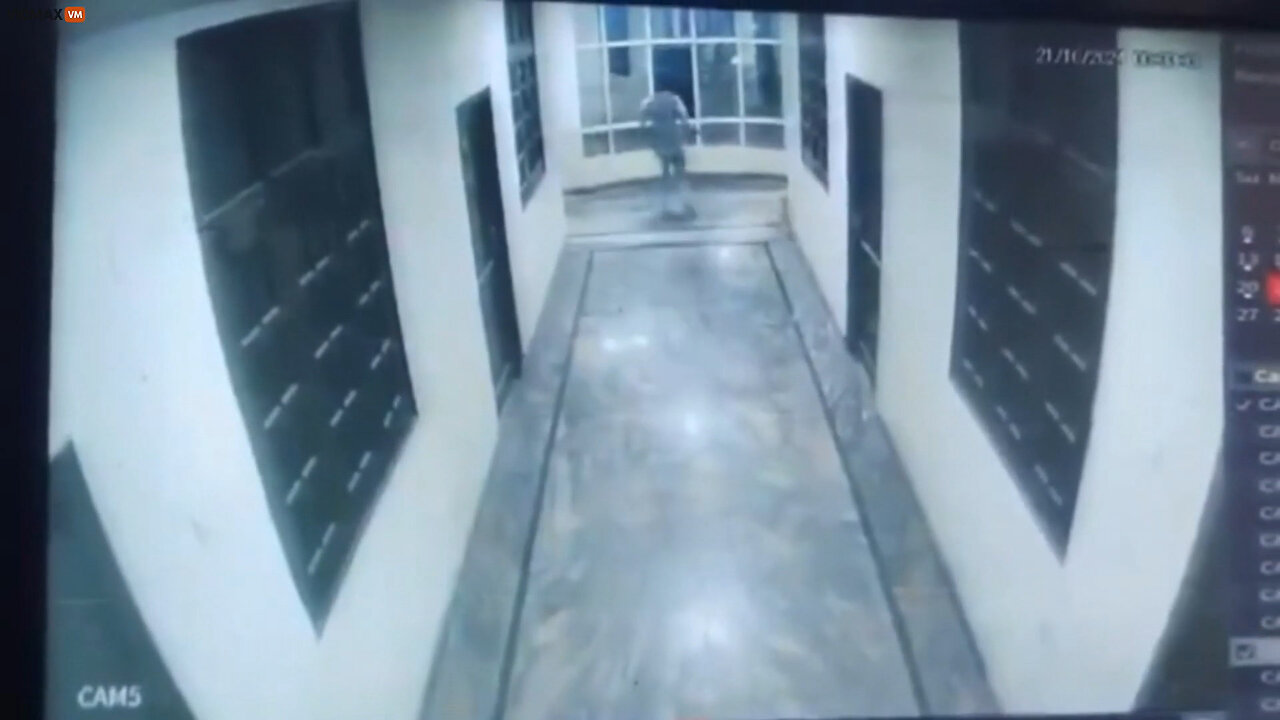 Man Chasing A Dog In A Hotel Accidentally Falls Out A 3rd Story Window And Dies