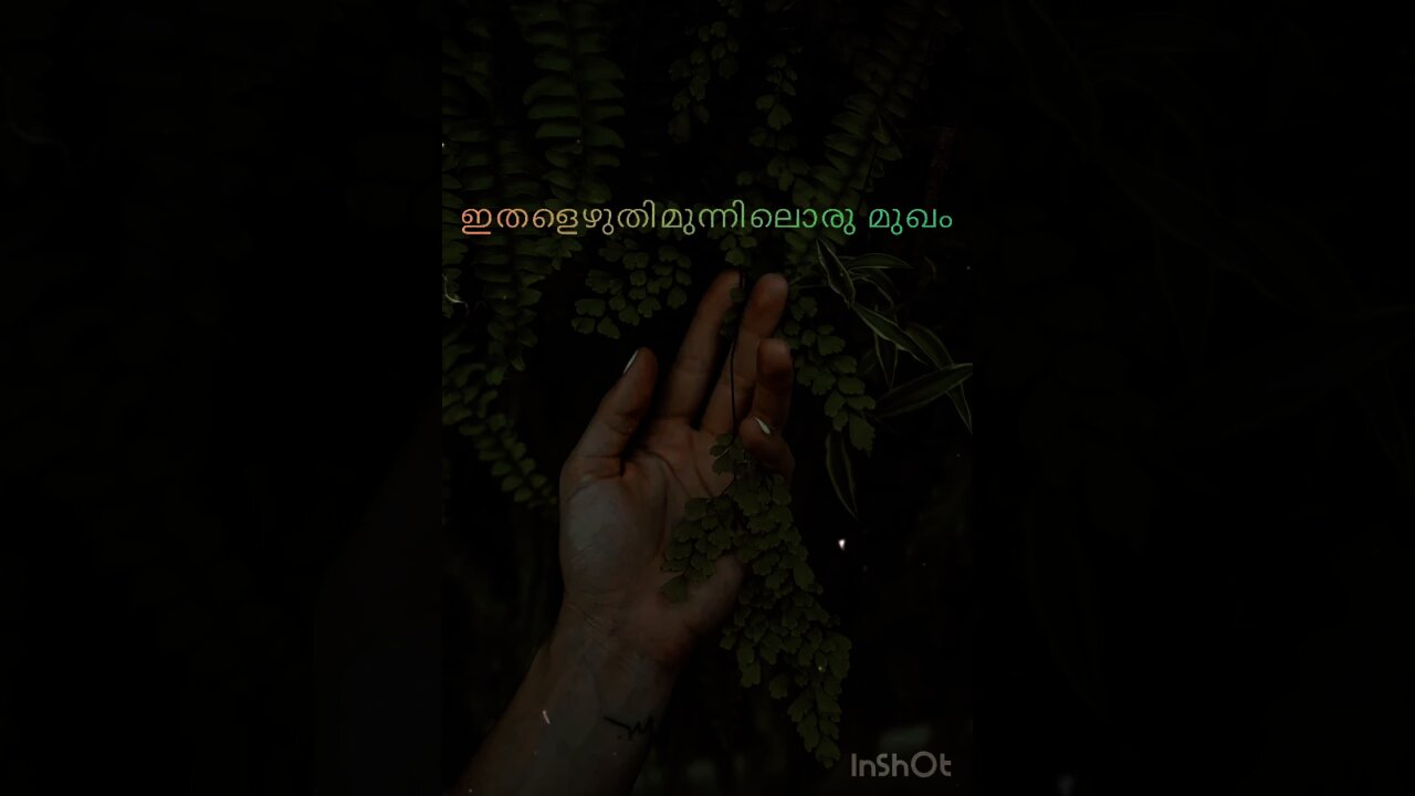Status song_ Oru raajamalli vidarunna pole ഒരു രാജമല്ലിവിടരുന്നപോലെ