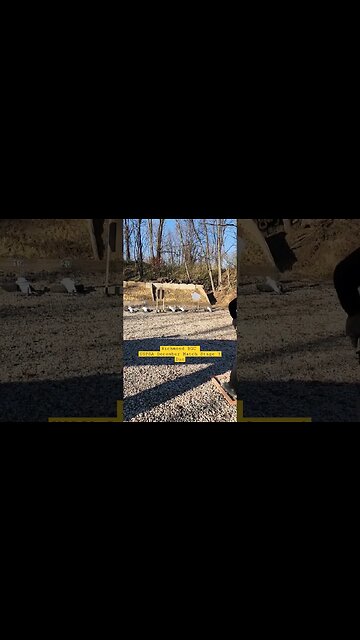 Richmond BGC #uspsa December match Stage 3 Dan #unloadshowclear #idpa