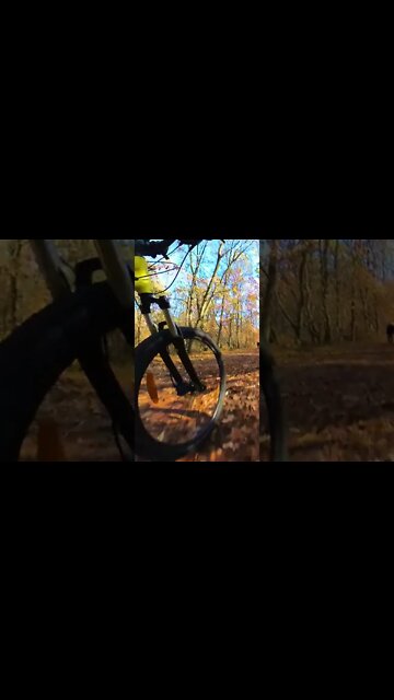 INSTA 360 X3 - Wheel CAM - SUBSCRIBE - #shorts