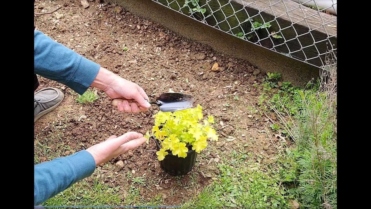 Berry&Bird Multi Use Stainless Steel Garden Hand Trowel