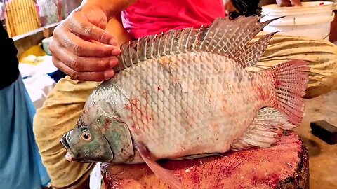 Incredible Tilapia Fish Cutting Skills In Bangladesh Local Fish Market