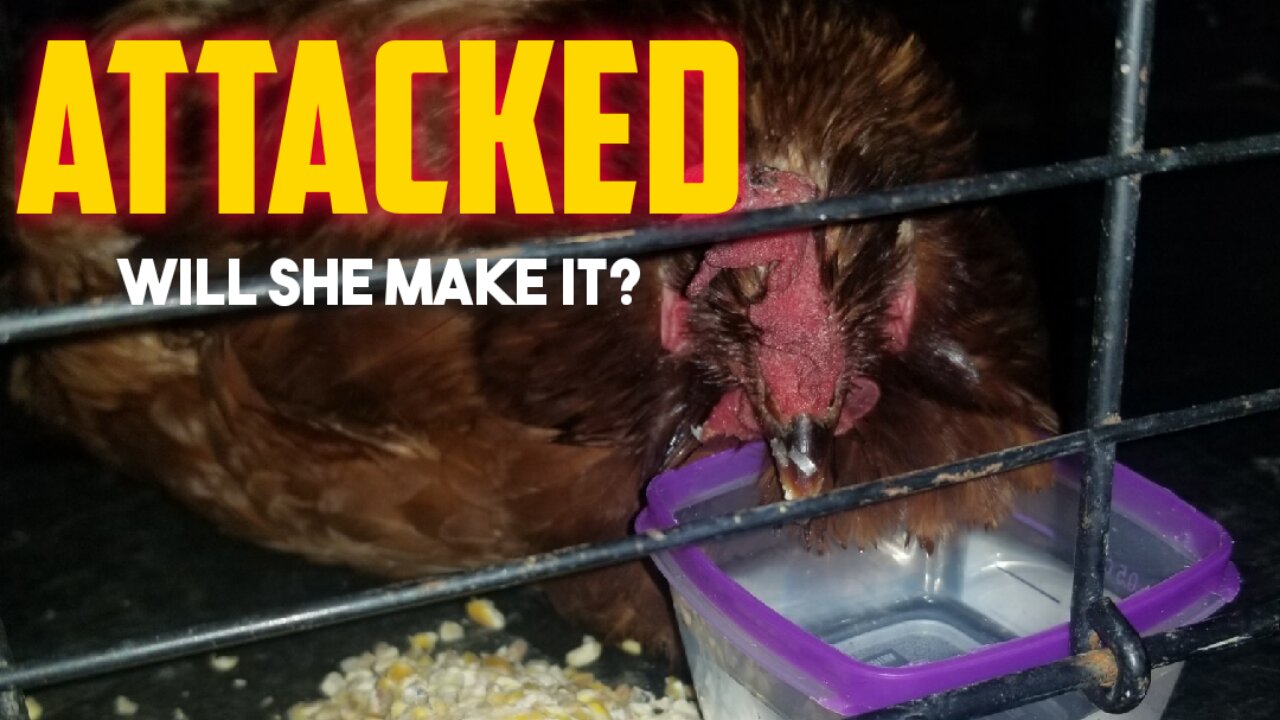 ATTACKED: will she make it?