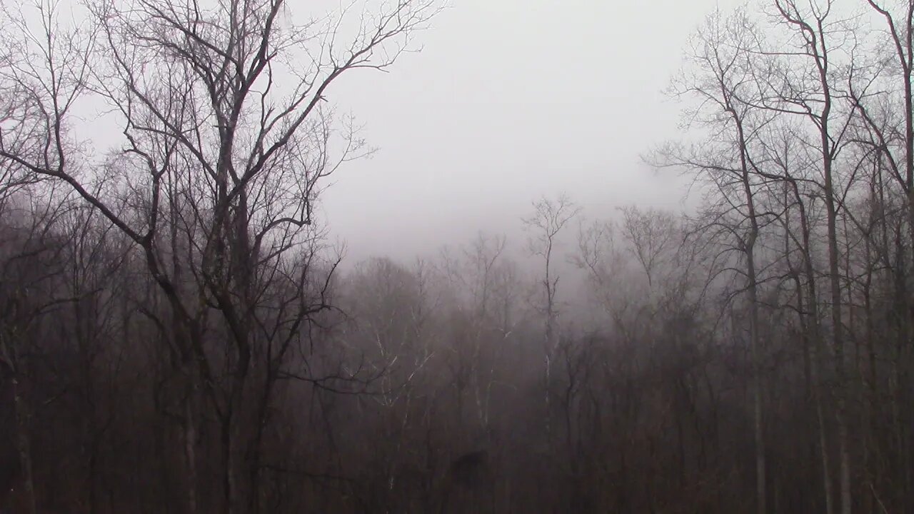 49 cold wet walk 2 week check up