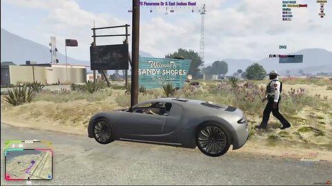 Most normal traffic stop - GTA RP