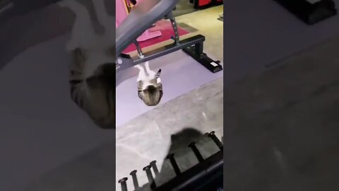 O DE HOJE TA PAGO 😂😂😂