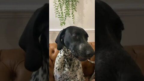 Please allow us to sing for you the song of our people.