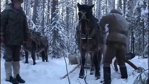 Hunting in Baikal Lake Cave