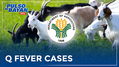 DA, walang naitalang active cases ng Q fever sa bansa
