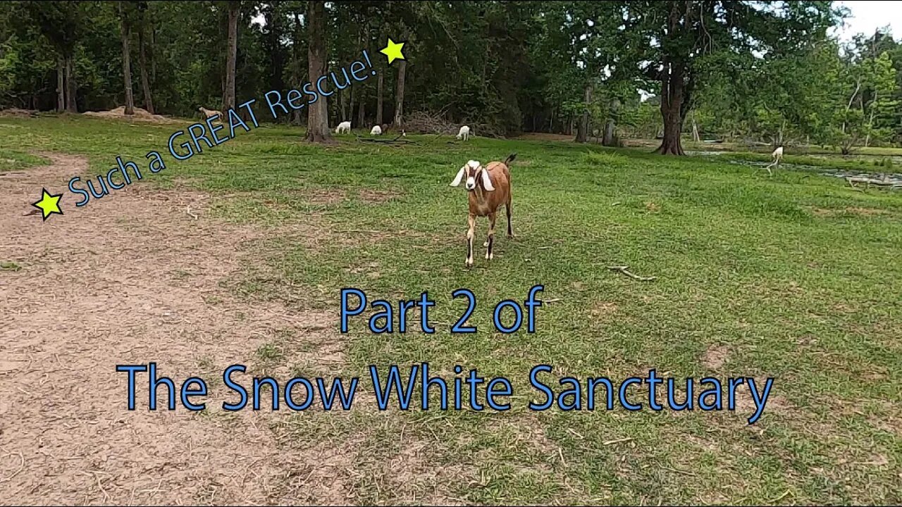 Part 2 of The Snow White Sanctuary