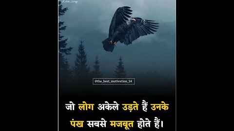 #birds #motivation #millionaire #shortvideo #trending #motivational #inspirationalquotes #success ,🥳