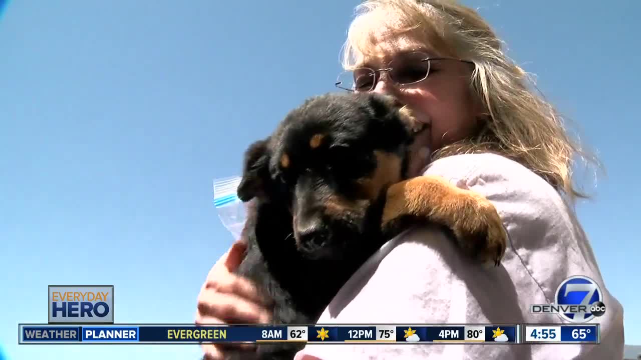 7Everyday Hero: Full-time teacher helps dogs in need find the good life in Colorado