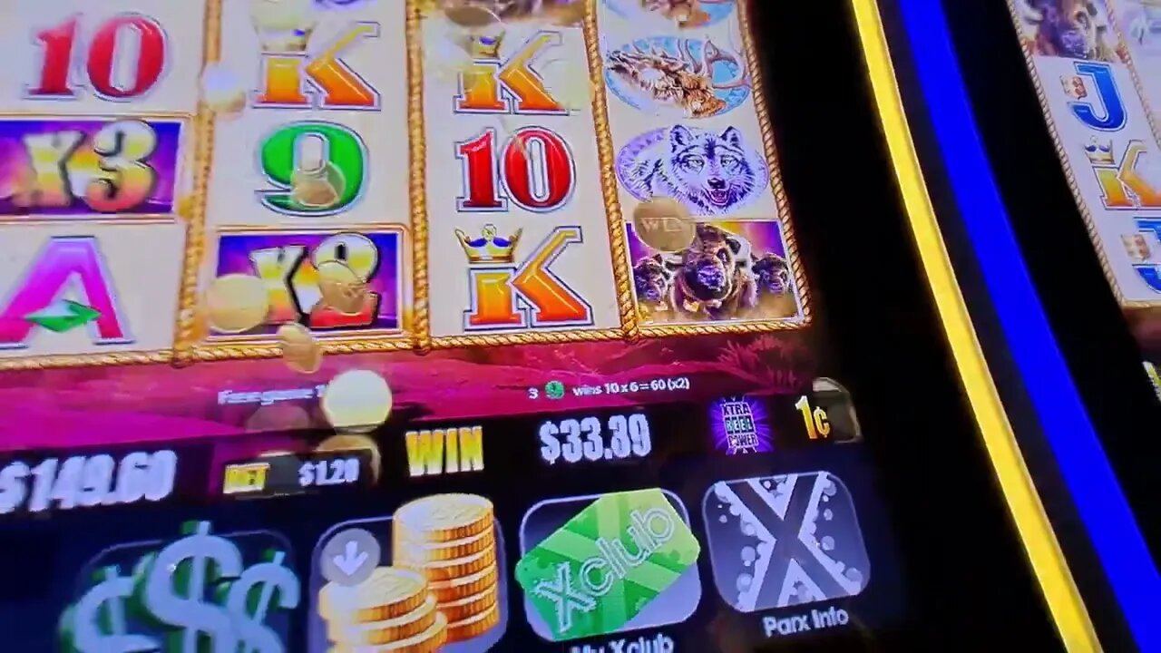 OMG! He Did it Again! Buffalo Gold Collection Slot Bonuses. Nothing but Bonuses Daily