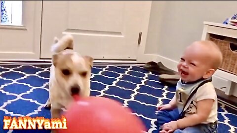 Baby can't stop laughing at his playful dog