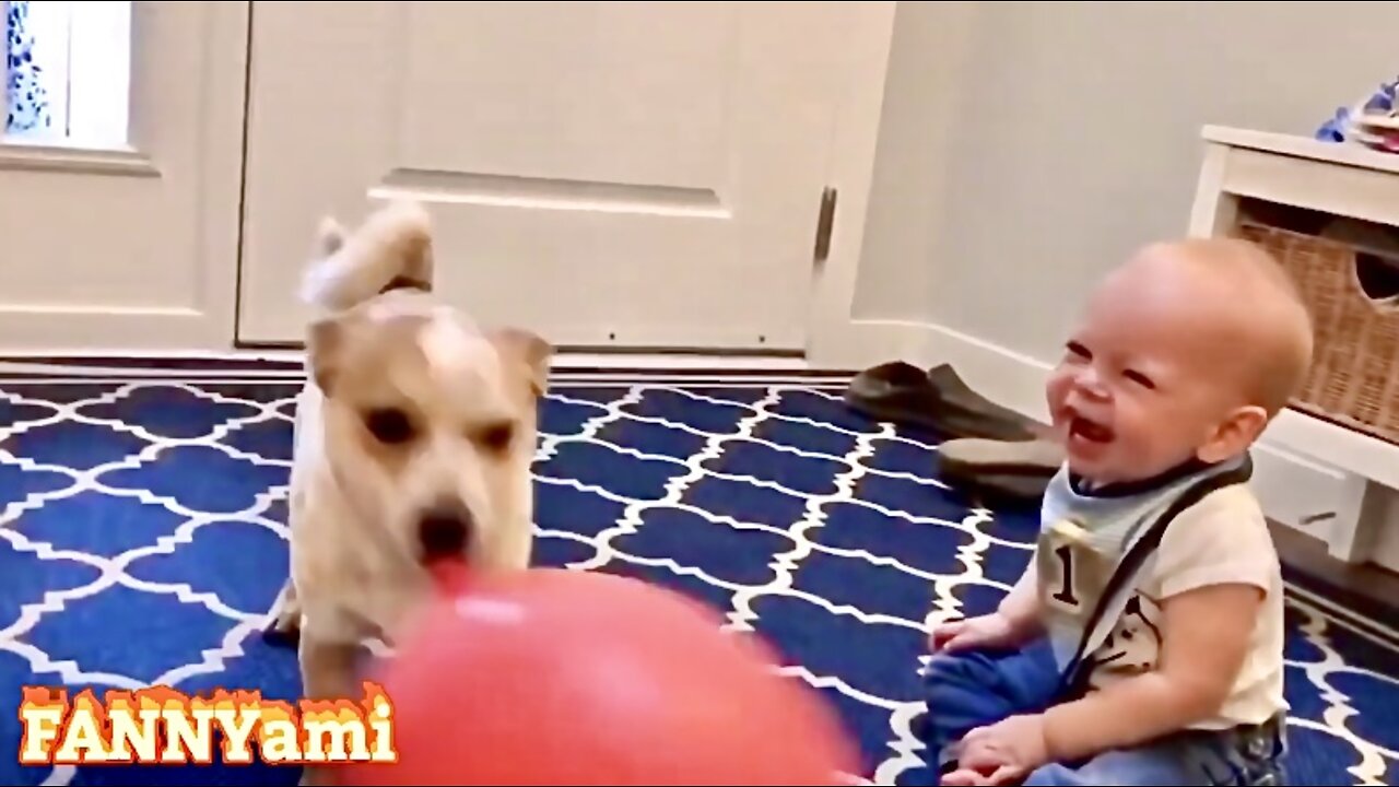 Baby can't stop laughing at his playful dog