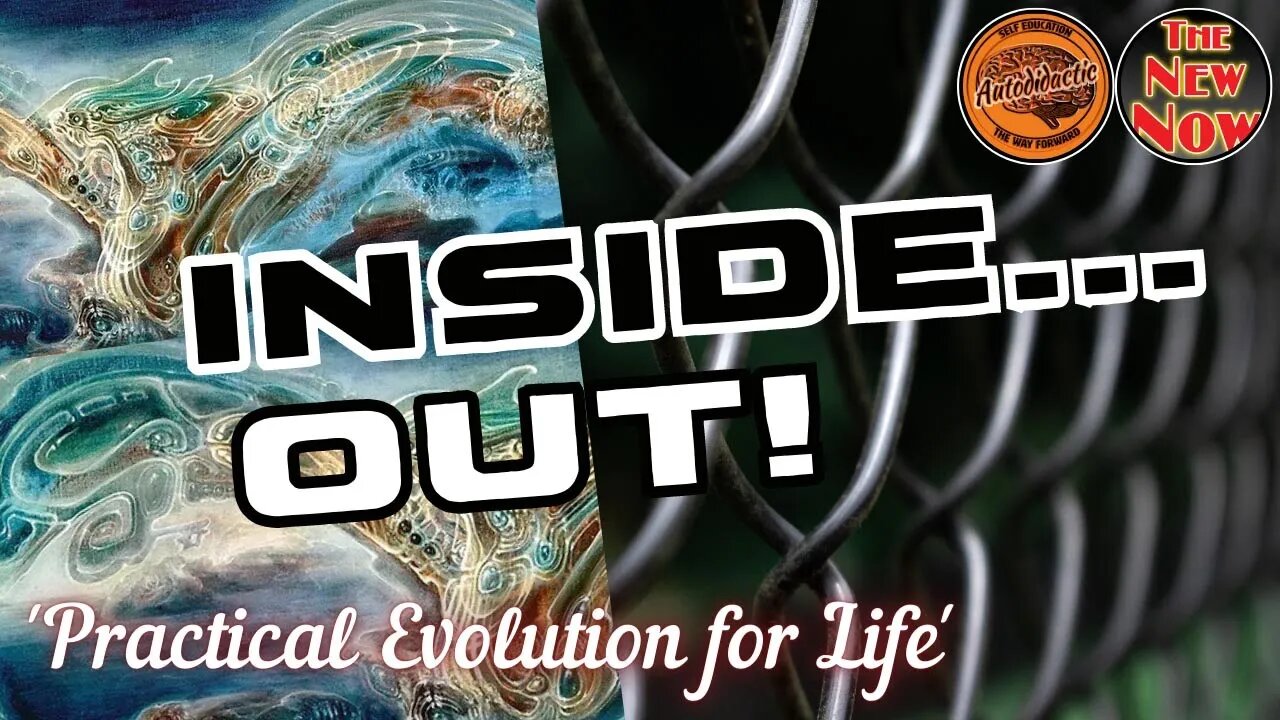 Inside Out - Practical Evolution