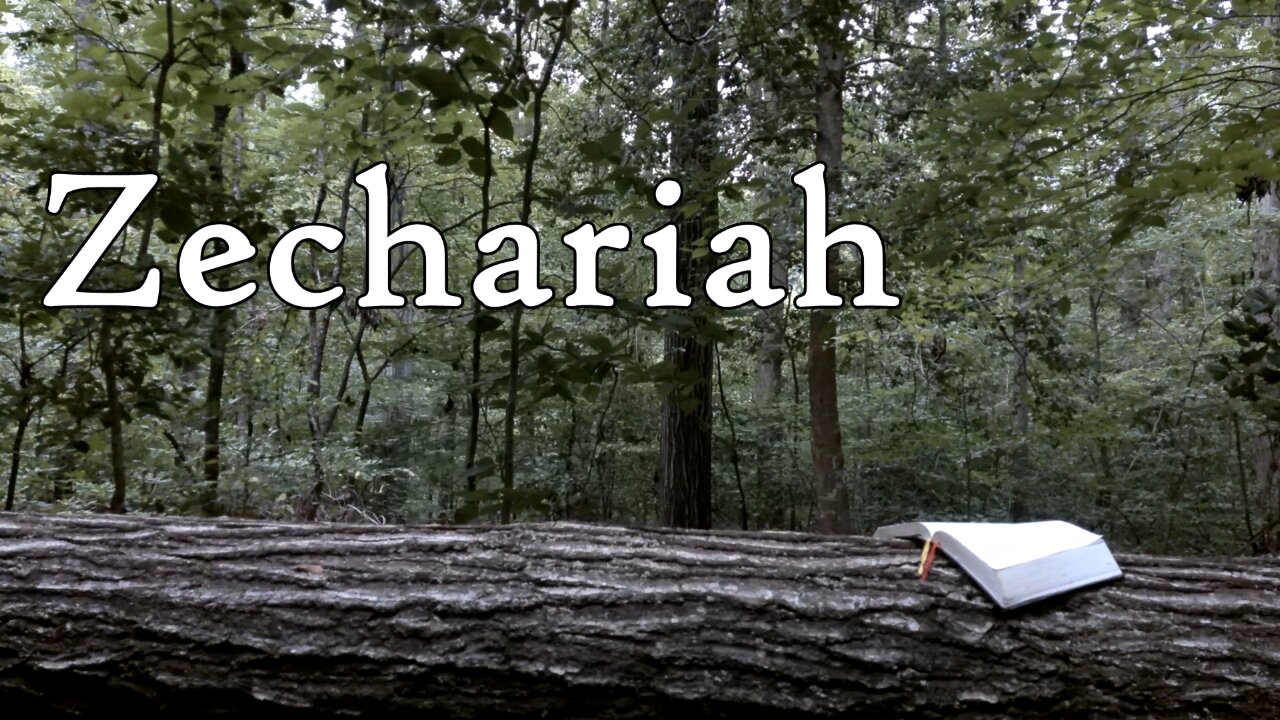 Zechariah | The Holy Bible | Old Testament 38/39