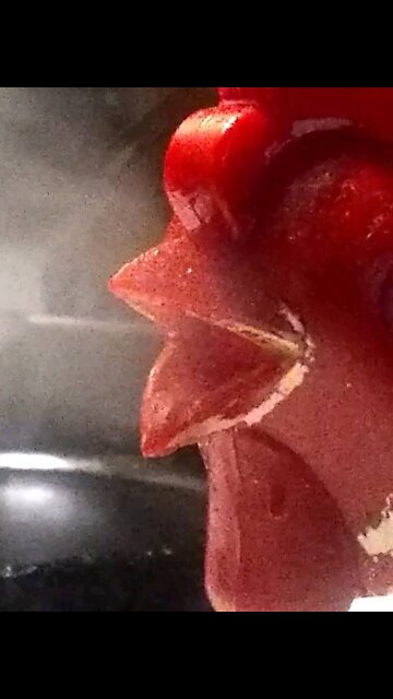 Teapot Whistling wait for it.