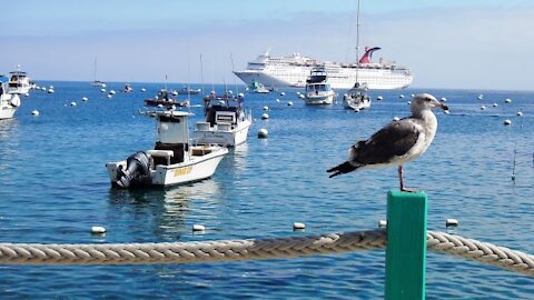 Avalon, Catalina Island California