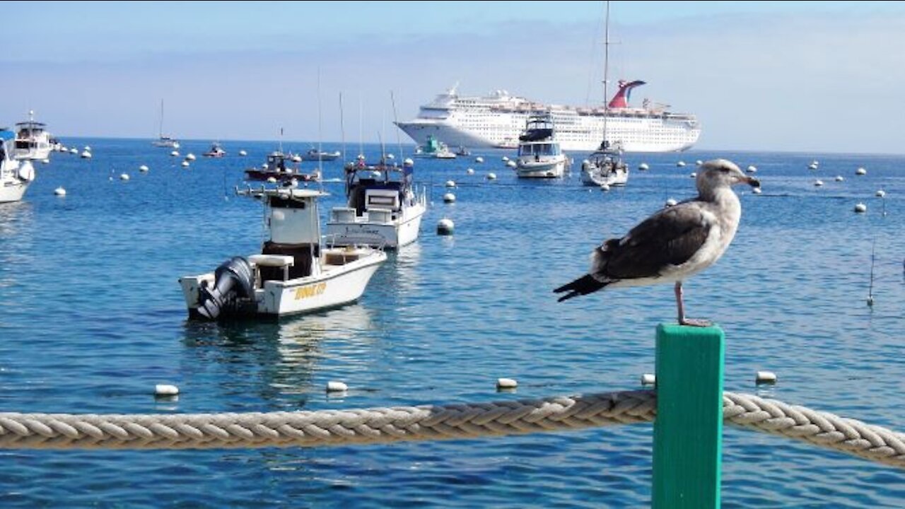 Avalon, Catalina Island California