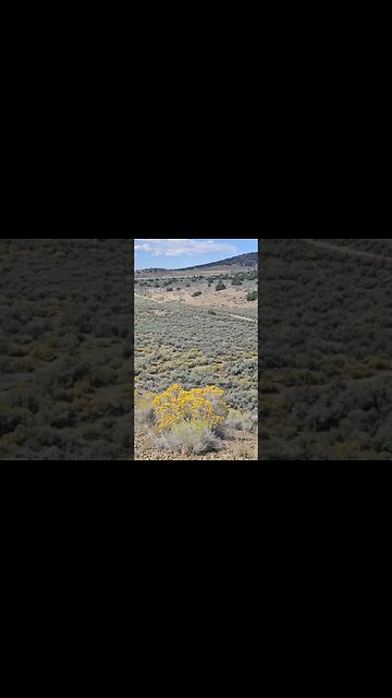 1776 Camp Freedom #oroexpidition23