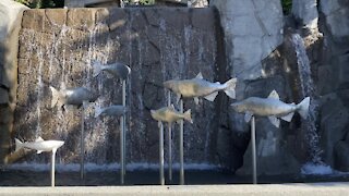 Fountain on a four-way street