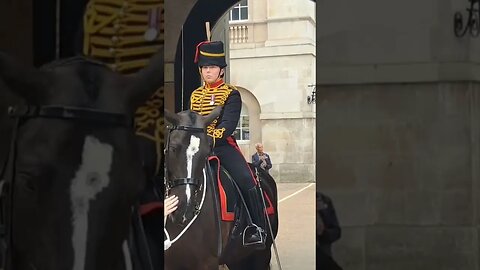 She put him in his place don't touch the reins #horseguardsparade