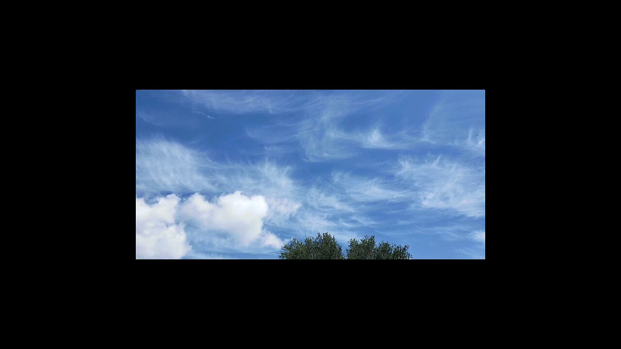 08.15-17.2022