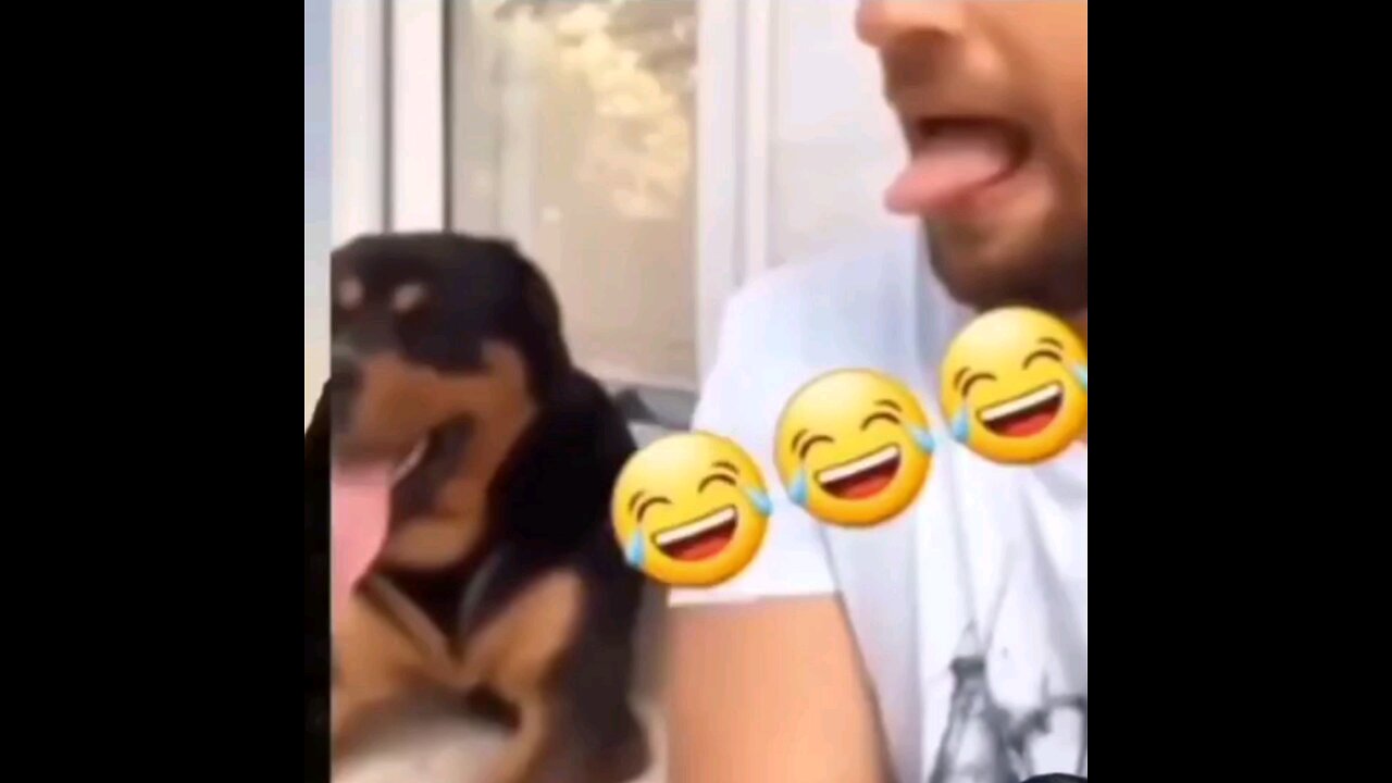 The dog was wondering why he imitated me🤣🤣 trending video