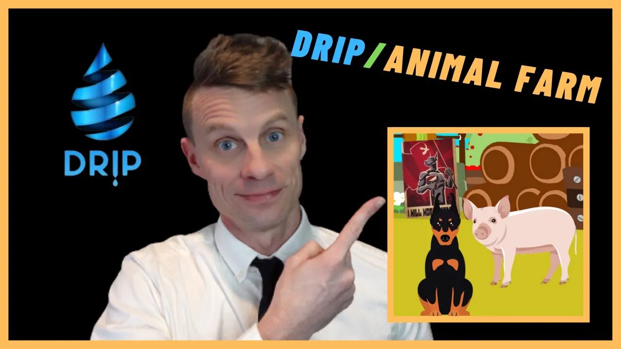 DRIP / Animal Farm | New comer's perspective
