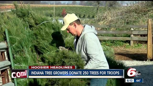 250 trees donated to troops by Indiana tree growers
