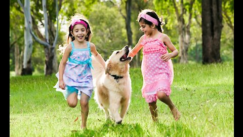 Adorable babies playing with their pets.