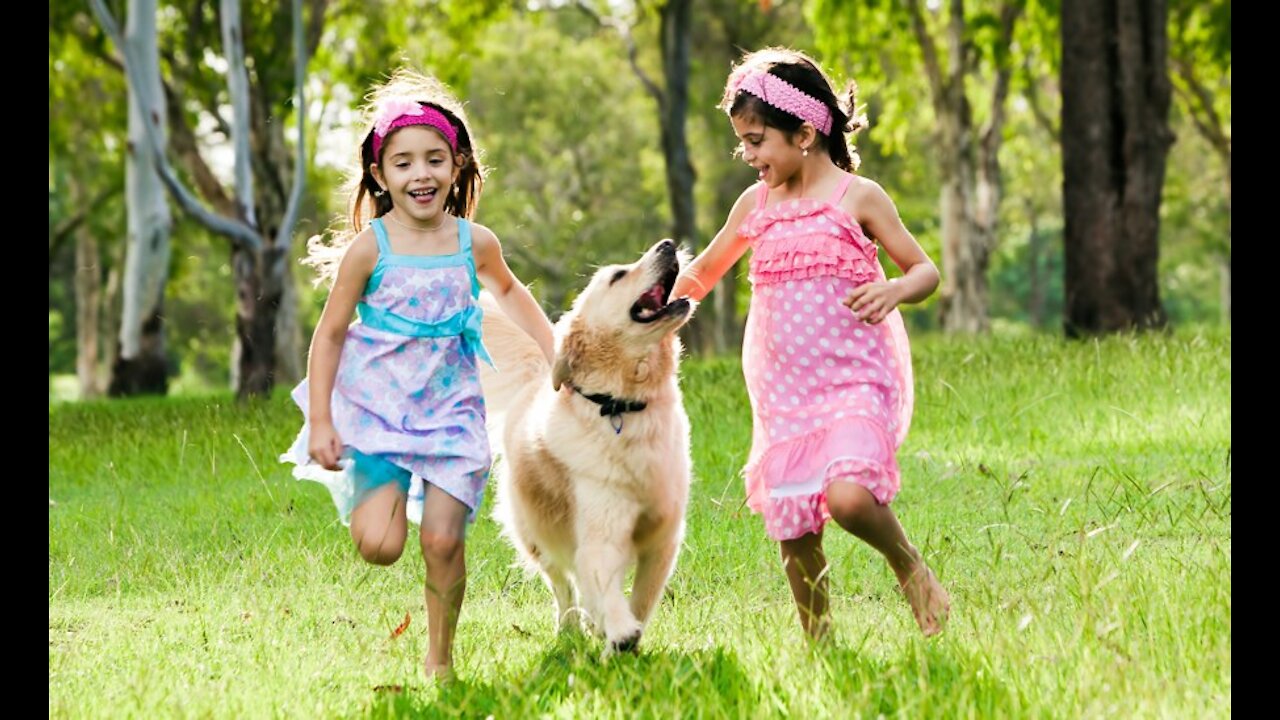 Adorable babies playing with their pets.