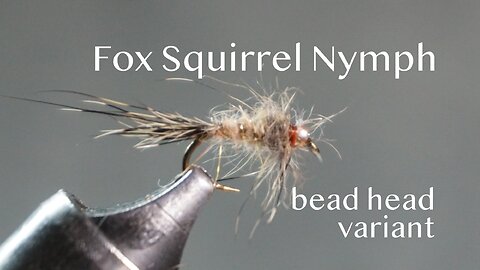 Fox Squirrel Nymph - bead head variation