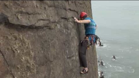 Escalade: une chute vertigineuse