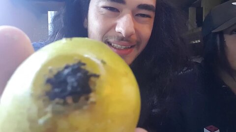 PEAR PIPE!! 🍐🍐🔥 HIGHTORIALS HOW TO MAKE w/Joshy J + KATT420