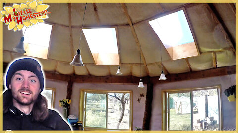 Skylight Trim/Wrap, Sprouted Cookies & Sorry Guys, Baby Stuff! | Weekly Peek Ep219