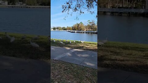A beautiful day at Memorial Park in Port Orange Florida #railfanrob