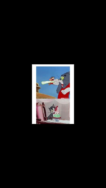 tom e jerry desenho #shorts