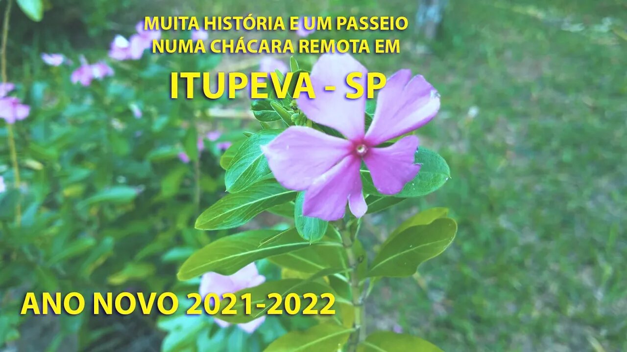 ANO NOVO - MUITA HISTÓRIA NUMA CHÁCARA REMOTA DE ITUPEVA-SP