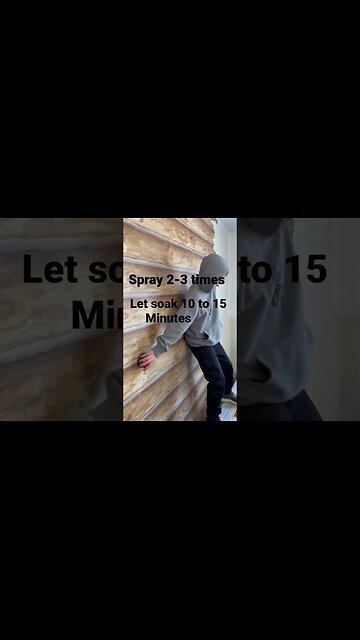 Paper Tiger Wallpaper removal #diy #wallpaper #paintprep