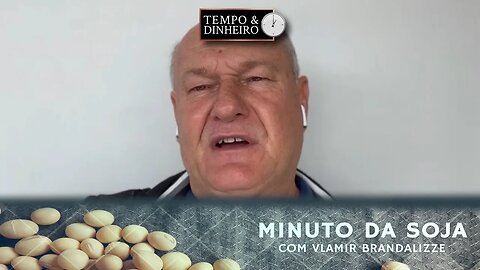 Soja tem bom desenvolvimento em Sapezal, MT. Veja as imagens