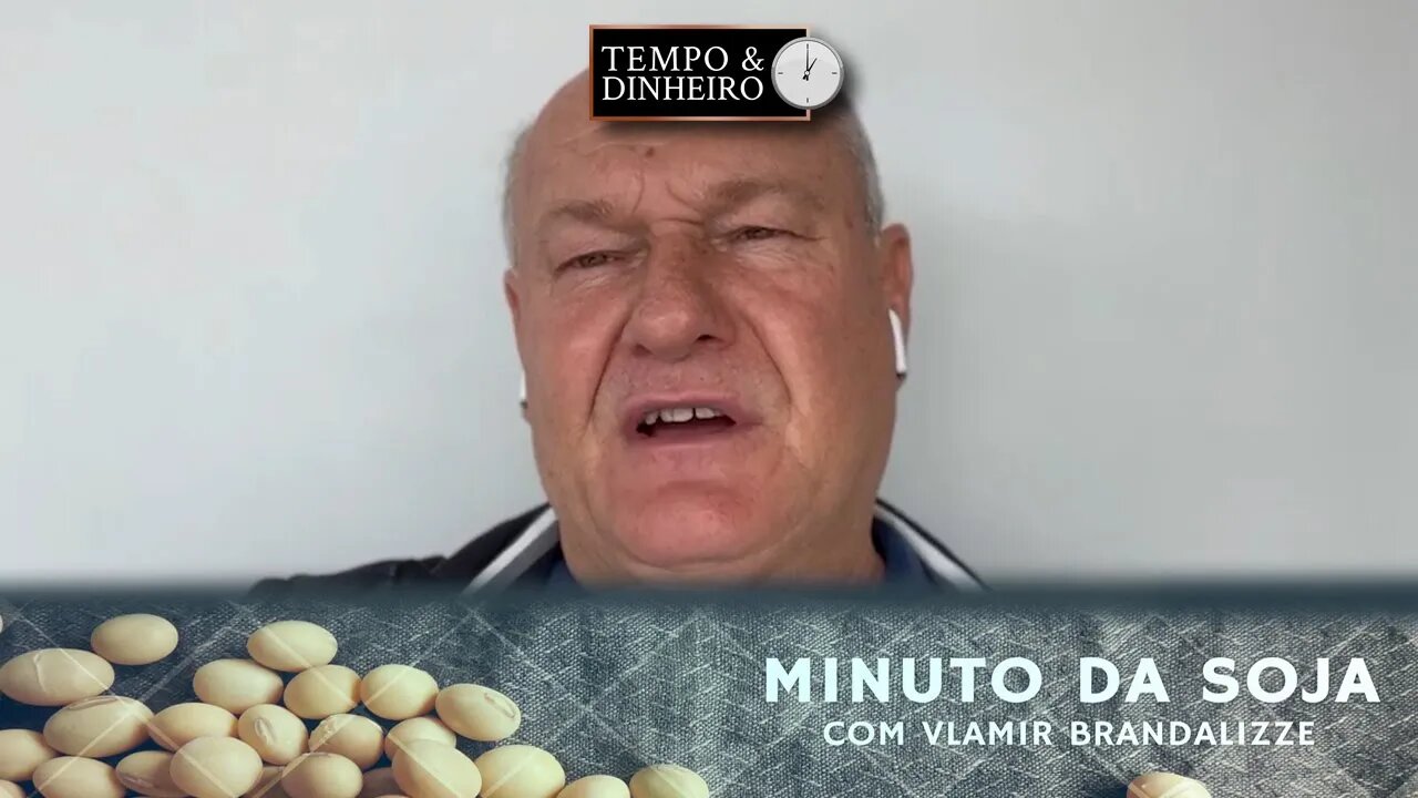 Soja tem bom desenvolvimento em Sapezal, MT. Veja as imagens